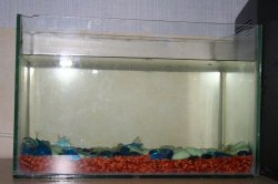 img_7386_w600_h400.jpg