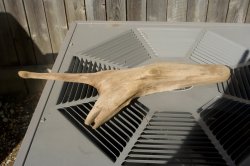driftwoodSmall.jpg