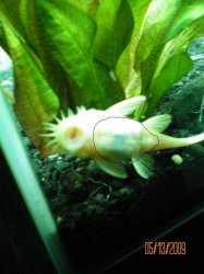 100_0020_01.jpg