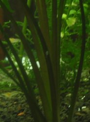 babies_0620_2.jpg