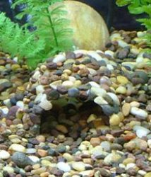Completed PVC Cave.jpg