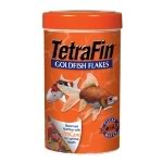 tetra.jpg
