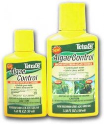 tetra algae.jpg