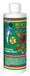 plant.jpg