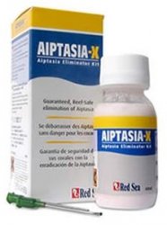 aiptasia.jpg