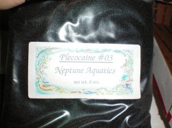 100_0003.JPG