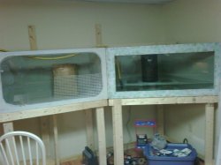 IMG00212-20100218-1858.jpg