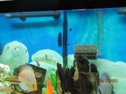 IMG_2694.JPG