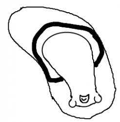 thing.png
