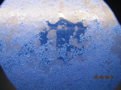 IMG_3814.JPG
