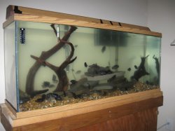 ai78.photobucket.com_albums_j99_rcsponger_IMG_0461.jpg