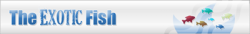 ai296.photobucket.com_albums_mm195_ForumBoosters_400.png