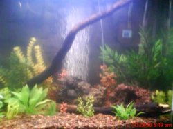ai171.photobucket.com_albums_u300_FiReRaT_3_sa1.jpg
