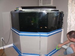 ai44.photobucket.com_albums_f47_sexxygal4you_fish_GEDC0096.jpg