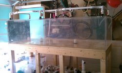 ai957.photobucket.com_albums_ae57_ricksreef_360_20Fishtank_20July_202010_38323246.jpg