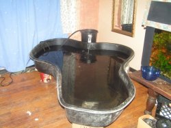 ai792.photobucket.com_albums_yy203_FishVixen_meditation_20pond_20build_misc076.jpg