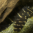 NoctuVide